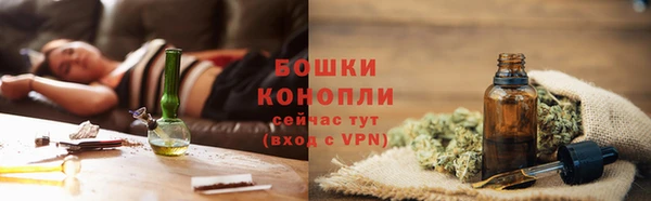 прущая мука Дмитриев