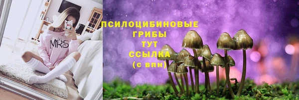 метадон Дмитровск